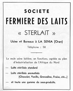 Oran Pub Alimentaire 052